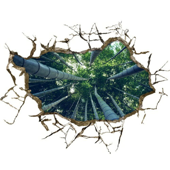 楽天市場 ポイントバック10 Offc 3d 竹 トリックアートシリーズ ウォール ステッカー ポスター シール はがせる 壁紙 壁シール 防水 窓 ｄｉｙ ウォールステッカー 花 おしゃれ 植物 トリックアート トリック フラワー グリーン インテリアシール トイレ 新生活