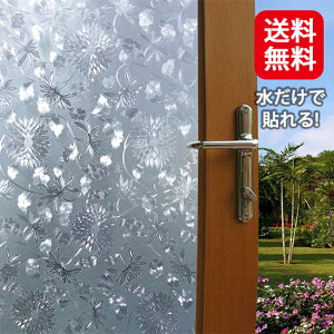 [̂sv]ws-2066[XXehOX]XehOXKXtB90i11mj V[g ډB ͂ h fM KXtB  slb | EBhEtB ډB