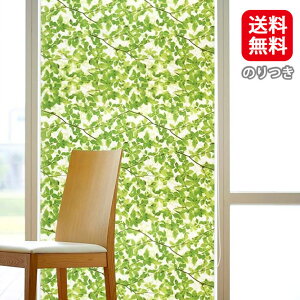 A5 [̂]ws-2080[ؘRE]XehOXKXtB90i11mj V[g ډB ͂ h fM KXtB  slb | EBhEtB ډBV[