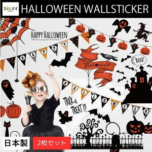  EH[XebJ[ nEB nEBp[eB[ 60*90cm 2Zbg LL   ǎ ǃV[ ͂  ڂ p[eB  D K[h Halloween L n