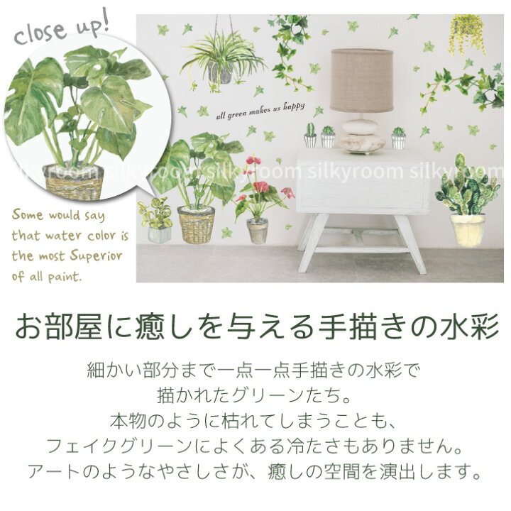 楽天市場 限定10 オフd ウォールステッカー グリーンステッカー 水彩画 観葉植物 植木鉢 木 グリーン リーフ 植物 モンステラ 海 夏 北欧 おしゃれ ボタニカル トイレ シール モノトーン インテリア 壁紙 キッチン 南国 はがせる クロス 壁紙シール リメイク ウッ