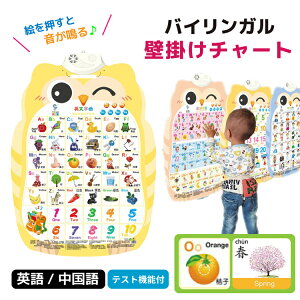 キッズ壁掛け 英語 中国語 子供学習ツール バイリンガル教材 インタラクティブ学習 マカロンカラー 中英対応チャート 音で楽しく学ぶ 安全設計 3C認証済み 視力に優しい 環境にやさしい素