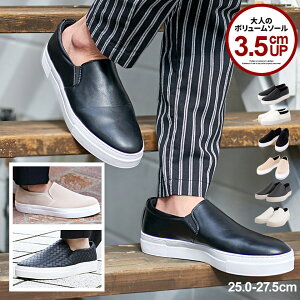 yzXb| Y Xj[J[ uh l    C Nc  V[Y  JWA Xg[g ꂢ [Jbg ubN zCg Vv 25cm 25.5cm 26cm 