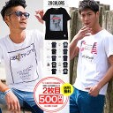 【2枚目500円】【送料無料】