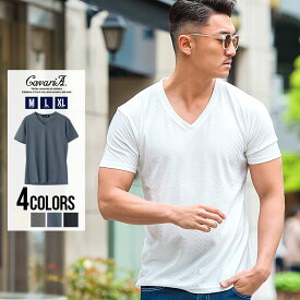 Tシャツ メンズ 半袖 トップス インナー カットソー Vネック リンクス ヘリンボーン柄 薄手 無地 シンプル 細身 タイト ストレッチ ホワイト グレー ネイビー ブラック 白 黒 M L XL きれいめ CavariA キャバリア 春 夏 2022【あす楽対応】【DTK】