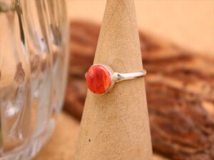 CfBAWG[ Yj VF ICX^[VF CC O 4.5 lCeBu AJ Vo[ ANZT[ fB[X Y WG[ Mtg v[g