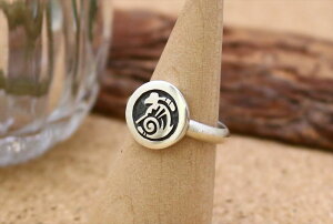 CfBAWG[ zs Lucion Koinva (VIERCo)  rbg ETM `[t }bg O 12 lCeBu AJ Vo[ ANZT[ WG[ fB[X Mt