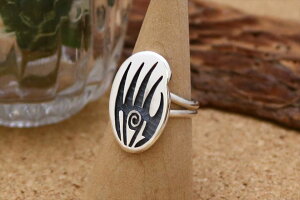 CfBAWG[ zs Willis Humeyestewa (EBXEtCFXe)  xApE vC[tFU[ `[t O 17 lCeBu AJ Vo[ ANZT[ WG[ 