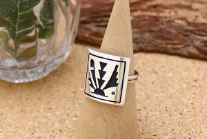 CfBAWG[ zs Clifton Mowa (NtgE)  XNGA^ vC[tFU[ `[t O 13 lCeBu AJ Vo[ ANZT[ WG[ Y 