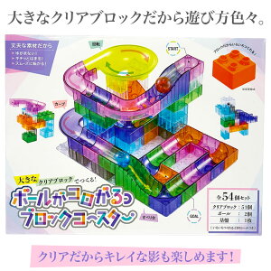 mߋ̃Vo[obNy傫ȃNAubNłI{[RubNR[X^[54Zbgzr[ {[ RR ] s^S u  m ߋ j̎q 