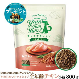 【10％OFFクーポン付】【選べるおまけ付】ヤムヤムヤム yum yum yum! 国産 ドッグフード チキン やわらかドライタイプ 800g