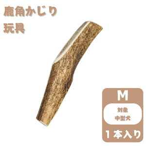 yIׂTCY3ށz̊p  i[bpYԎpj`^ (ȂۂƊpj[bpY Y K XgX