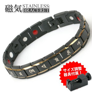 CuXbg Y XeX S[h ubN Z^  AM[Ή NuXbg   316L t ̓