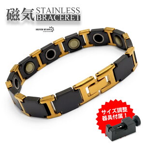 CuXbg XeX Z~bN r[Y gold black S[h ubN   Vv j AM[Ή