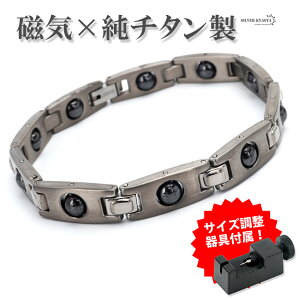 `^ CuXbg w}^Cg r[Y  Vo[ silver y `^uXbg t AM[Ή ̓