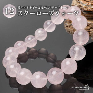 p[Xg[uXbg uXbg X^[[YNH[c 12mm VR΃uXbg uWY