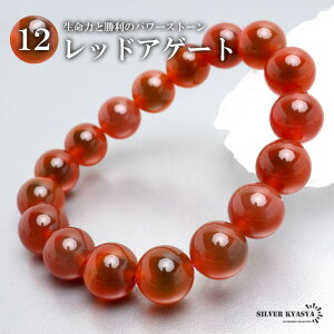 p[Xg[uXbg uXbg bhAQ[g 12.5mm VR΃uXbg YMBY