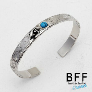 BFF uh nCAoO ^[RCY 8mm Vo[ F łoO r Y fB[X @ ꗱ nCAWG[ pBOXt ̓