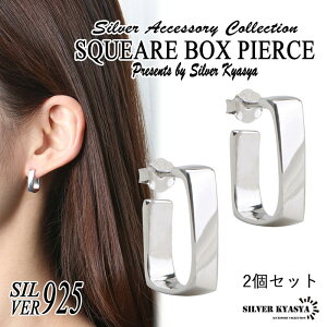 Vo[925 t[vsAX XNGA t[v sAX lp ` silver   AM[ t[ 20G  2_Zbg