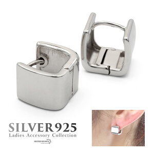 sAX AM[Ή Vo[925 S925 WEbL t[vsAX lp XNGA Vo[  tF~j Vv v[ p 2_Zbg