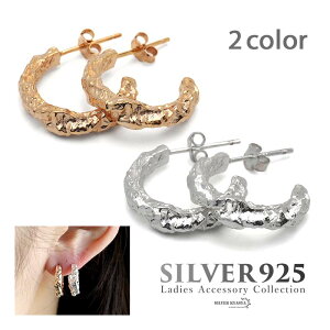 Vo[925 t[vsAX S[h Vo[ gold F silver 20G AM[ Ή p2_Zbg