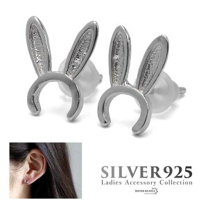  ̃sAX fB[X Vo[925  e oj[ rbg X^bhsAX Vo[ Vv AM[Ή p 2_Zbg