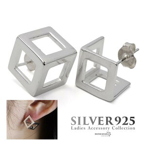 L[usAX XNGA Vo[925 X^bhsAX p 2_Zbg lp }`  Vo[ lC IV  q fB[X AM[t[