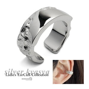 C[Jt Vv i CO CJt Vo[925 silver925 fB[X ^  ʉ Ɩ H Vo[ silver  C[JtX C[tbN Ўp AM[Ή