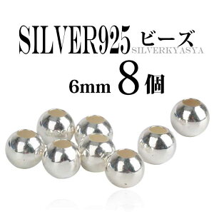 y8z6mm Vo[925f r[Y Vo[925r[Y C[OlbNX JX^p[c ̓