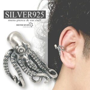 ^RC[Jt INgpX Vo[925  ^R z N[P C[Jt ނ j silver ̌sv AM[Ή Ўp ̓