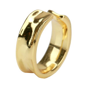 VvC[Jt Vo[925 C[Jt Y 18K S[h j ނ silver ̌sv AM[Ή Ўp