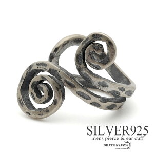 Vo[925 CJt Y Vo[ S925 QCJt j[N AM[Ή ̌sv Ўp 1_ ̓