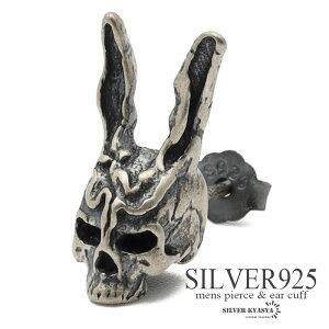 Vo[925 X^bhsAX Y Vo[ S925 rbgXJsAX j[N  e hN AM[Ή Ўp 1_ ̓