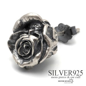 Vo[925 X^bhsAX Y Vo[ S925 [YsAX j[N KN o AM[Ή Ўp 1_ ̓