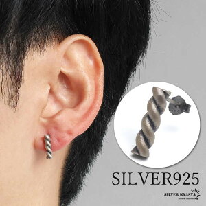 Vo[925 cCXgsAX [v AeB[NsAX Vo[ Ԃ Ђ˂ ˂ XeBbN Ў1_ Y j AΉ