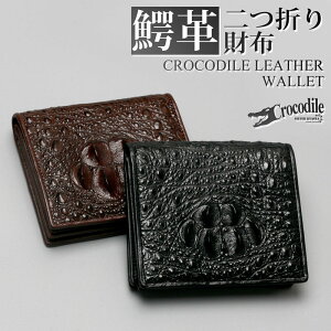 NR_C {v j ܂ z EHbg NE z[obN v tOCU[ p{bNX bsO