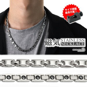 ClbNX XeX r[Y silver Vo[   ݎ j AM[Ή
