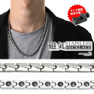ClbNX XeX r[Y silver Vo[   j AM[Ή