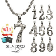 ナンバーネックレス ハワイアンネックレス シルバー ステンレス シルバー925 数字ネックレス ロープチェ…