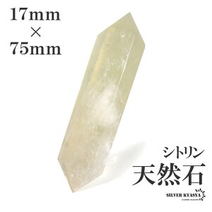 �_ MAX20��OFF�N�[�|�� �^ �V�g���� �Z�p�� �V�R�� 17mm×75mm �ꗱ ���� �p���[�X�g�[�� �� �u���� �C���e���A ���� �{�� ���� �G��