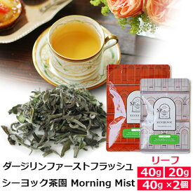 紅茶 茶葉 ダージリン ファーストフラッシュ 2026年 シーヨック茶園 FTGFOP1 Morning Mist / 春摘み 1stフラッシュ クオリティシーズン 専門店のおいしいおすすめ 高級ダージリンティー ダージリン紅茶 リーフティー インド紅茶 / ストレートティーで / DJLFY6Y
