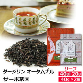 紅茶 茶葉 ダージリン オータムナル 2025年 サーボ茶園 FTGFOP1 / タルボ茶園 / 秋摘み クオリティシーズン 専門店のおいしいおすすめ 高級ダージリンティー ダージリン紅茶 リーフティー インド紅茶 / DJLAY5Y