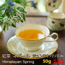 紅茶 ネパール 春摘み ジュンチヤバリ茶園 Himalayan Spring 50g