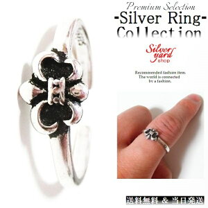 w t[TCY Vo[ Y fB[X O S̖ ׂ ㎿ ANZ  ANZT[ Vi j  v[g   SY054