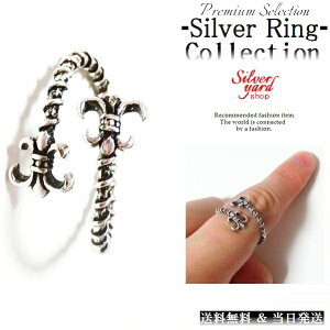 w t[TCY Vo[ Y fB[X O 2A 2d S̖ ㎿ ANZ  ANZT[ Vi j  v[g   SY095