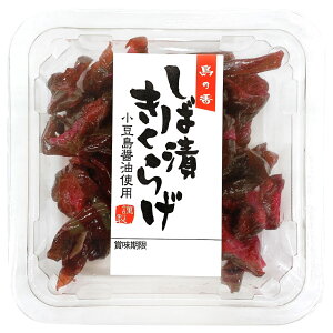 yyVVbvEIuEUE}X܁z Е̂悤Ȃς̂悤 Î_ςĂς@ΒЏ30g×12