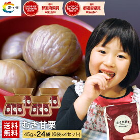 【楽天ショップ・オブ・ザ・マンス受賞】甘栗 送料無料 国内加工 まとめ買い おいしい むき甘栗 6袋×4セット 天津甘栗 栗 くり クリ むき栗 レトルト パウチ (※北海道・沖縄県は別途送料700円）