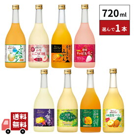 宝酒造 産地めぐりシリーズ 720ml 1本