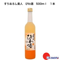 梅ヶ枝酒造　すりおろしびわ酒　500ml　1本　長崎県　美肌　健康志向　果実