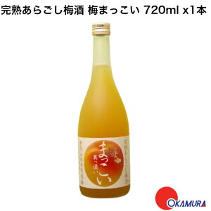 yGg[P10{zyVX[p[SALEIV n炲~~܂ 720ml x1{